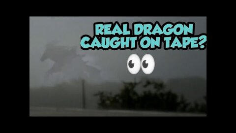 Real Dragon Footage? - Fact or Fake 🤔
