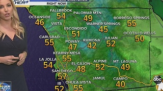 Kristen 11pm December 4 Forecast