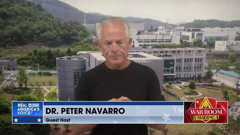 Dr. Peter Navarro: MAGA's Focus Must be on Taking Back Trump's America for Next 60 Days