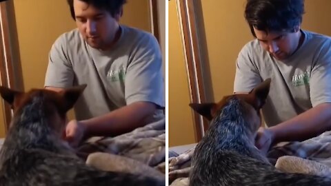 Guy forced to hand feed his adopted pup her water