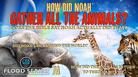How Did Noah Gather All the Animals? Does the Bible Say He did? Flood Series 7A