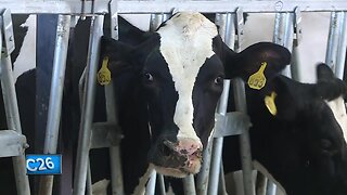 Clinton Farms works to keep dairy business alive