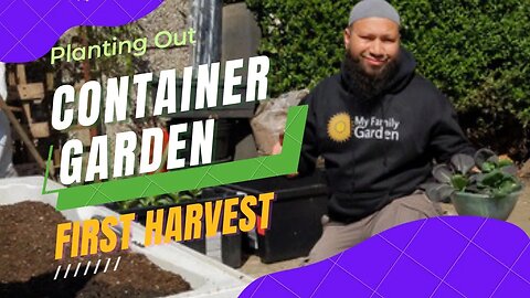 Container Vegetable Gardening For Beginners - Patio Vegetable Garden