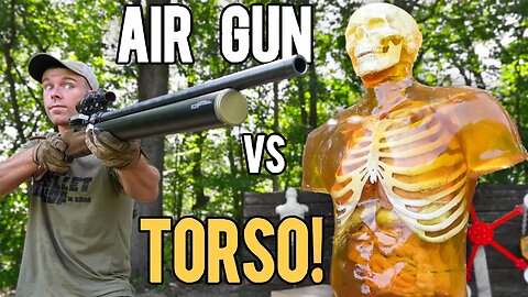 The World's Most POWERFUL Air Rifle vs Human Torso!! (72cal ZEUS)