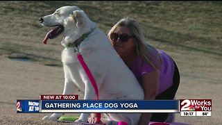 Dogs, owners do yoga at the Gathering Place