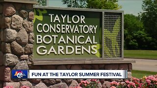 7 In Your Neighborhood: Live from the Taylor Summer Festival