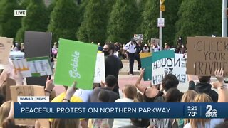 Peaceful protests take place along Northern Parkway
