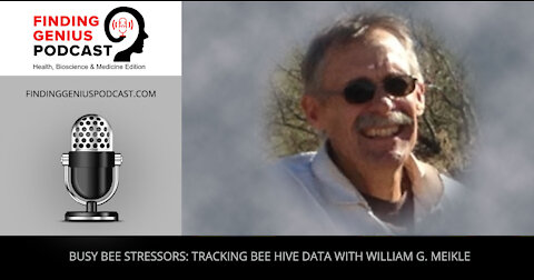 Busy Bee Stressors: Tracking Bee Hive Data with William G. Meikle
