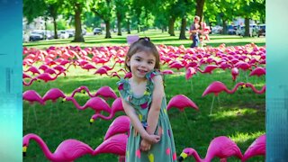 Olmsted Parks Conservancy going for flamingo record in 2022