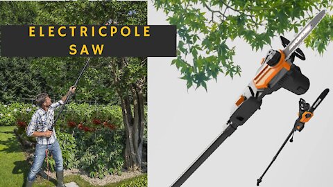 WORX WG309 8 Amp 10" Electric Pole Saw #WORX_WG309_8_Amp_10"_Electric_Pole_Saw