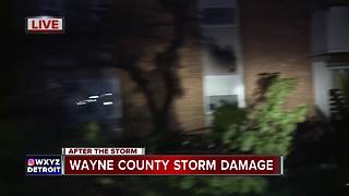 Storm damage in Wayne County