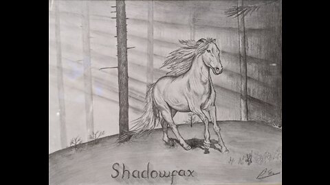 Shadowfax Timelaps