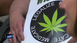 Possible referendum: Does Brown County support marijuana legalization?