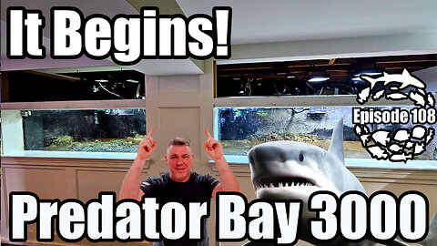 Massive 3000 Gallon Marine Predator Aquarium Build, Predator Bay 3000 Starts Now!