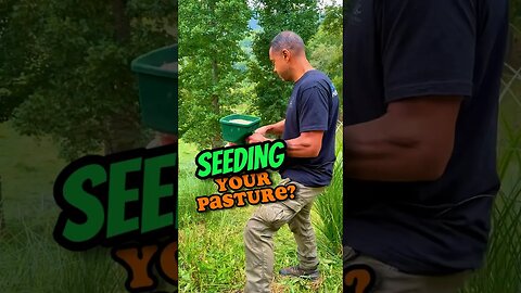 SEEDING Your Pasture? | #homesteader #garden #homestead #permaculture #seeds #hack #tips