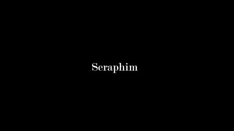 Seraphim [VL-81]