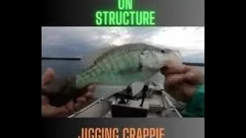 Crappie fishing limit, How to catch post spawn crappie on structure, jigging crappie, crappie on jig