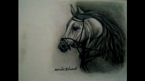 Horse Drawing Black and White