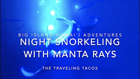 Night Snorkeling with Manta Rays - The Traveling Tacos - Kona, Hawai'i Vacation
