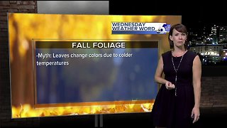Rachel's Wednesday Wx Word: Fall Foliage