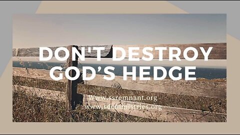 Don't Destroy God's Hedges