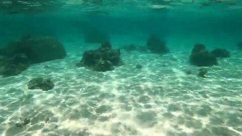 Dana Snorkeling in Moorea, 27-Sep-2022-4