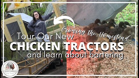 TOUR our PASTURE Ranging CHICKEN Tractors | BARTER for the Things You Need!