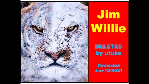 Jim Willie Meets Silver Liberties - Part 1 - DELETED by utube