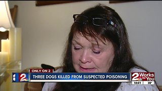 Three dogs killed from suspected poisoning