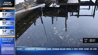 Styrofoam docks posing threats to the environment, health