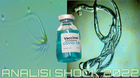 2022-03-31 - piante e forme di vita tra i nanocomponenti presenti nel vaccino Pfizer Covid19