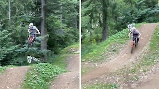 Extreme Dog Runs Alongside His Mountain-biking Owner