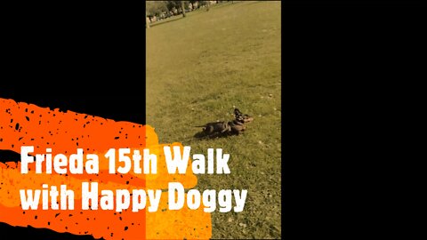 Frieda 15th Walk with Happy Doggy