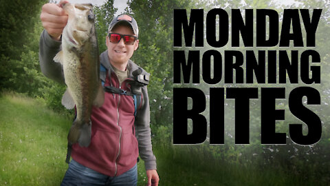 Catching Largemouth Bass on a Zoom Zlinky | Monday Morning Bites: Episode 16