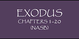 Exodus chapters 1-20 (NASB)