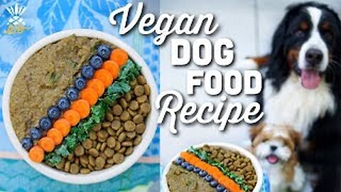 What We Feed Our Dog: Homemade Vegan Dog Food Recipe