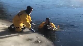 Firefighters rescue dog from icy river in Michigan