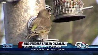 Dirty bird feeders can spread serious diseases