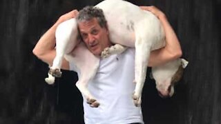 Man squats with massive dog on his back