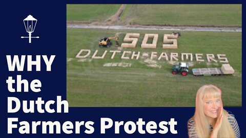 Details of the Dutch Farmers Protests