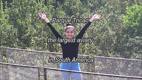 Tricao park is the largest Aviary in South America