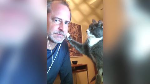Lovely Cat Pets A Man's Face