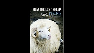 How the Lost Sheep Was Found