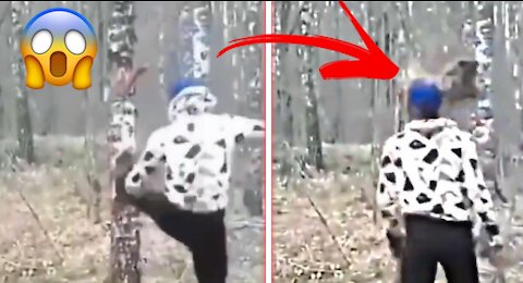 Guy kicks the tree which then falls on his head 😱 ! Instant karma