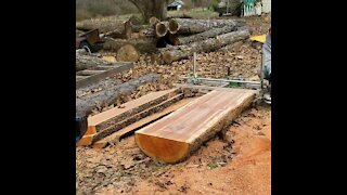 Alaskan sawmill milling a cherry log