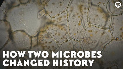 How Two Microbes Changed History