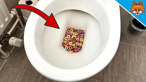 THIS Toilet Trick should really know EVERYONE 💥 (IMPORTANT) 🤯