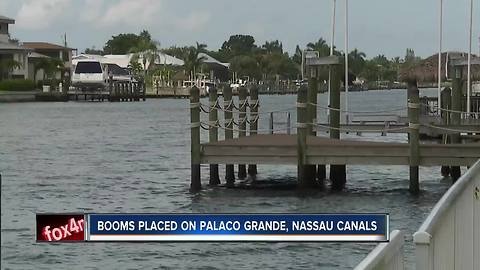 Booms put in Cape Coral canals for algae relief