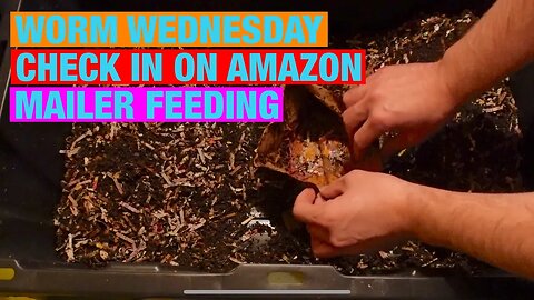 Worm Wednesday check in on Amazon mailer feeding