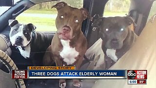 Elderly woman attacked by 3 dogs, airlifted to trauma center in Hernando County